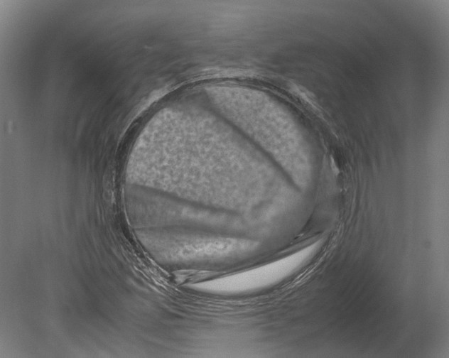 X0000080191165200701051715
