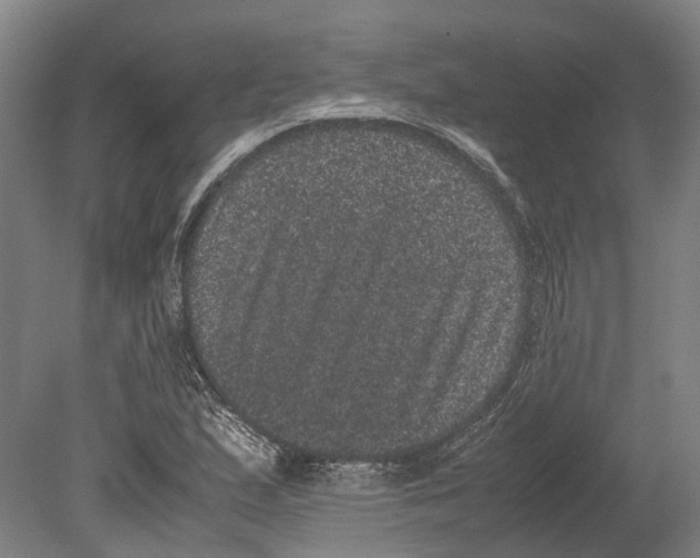 X0000080191167200701051715