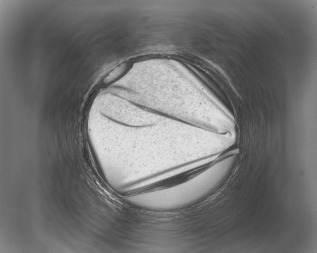 X0000080191168200701051715