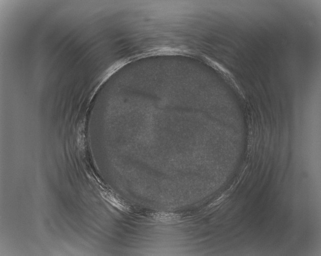 X0000080191170200701051715