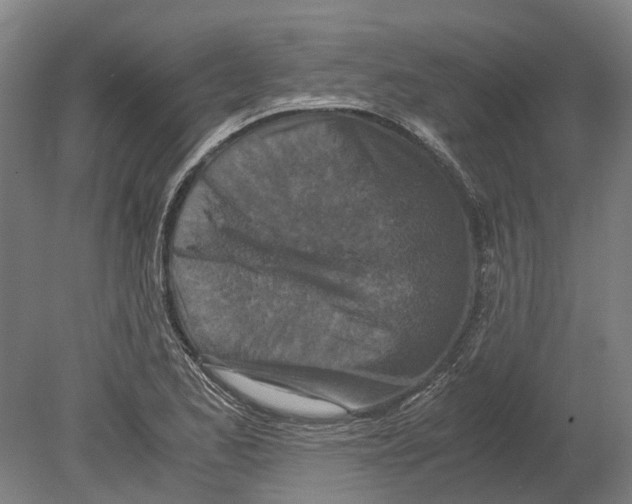 X0000080191173200701051715