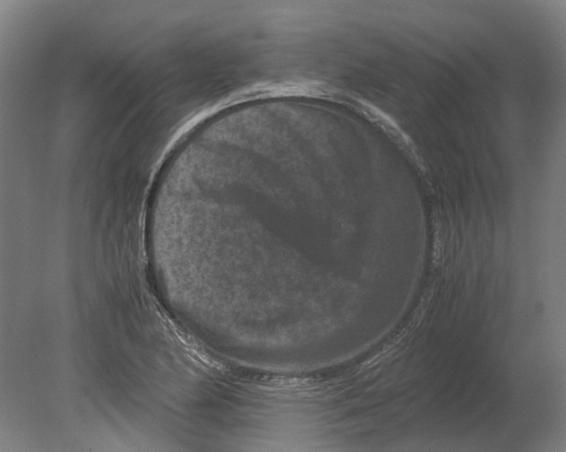 X0000080191174200701051715