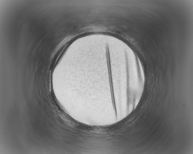 X0000080191175200701051715