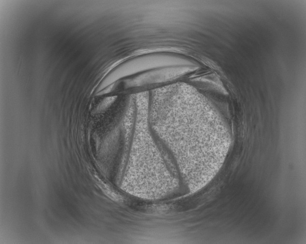 X0000080191177200701051715