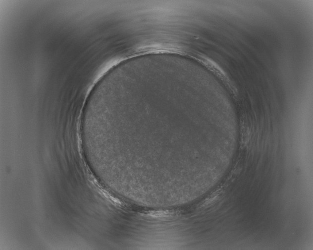 X0000080191182200701051715