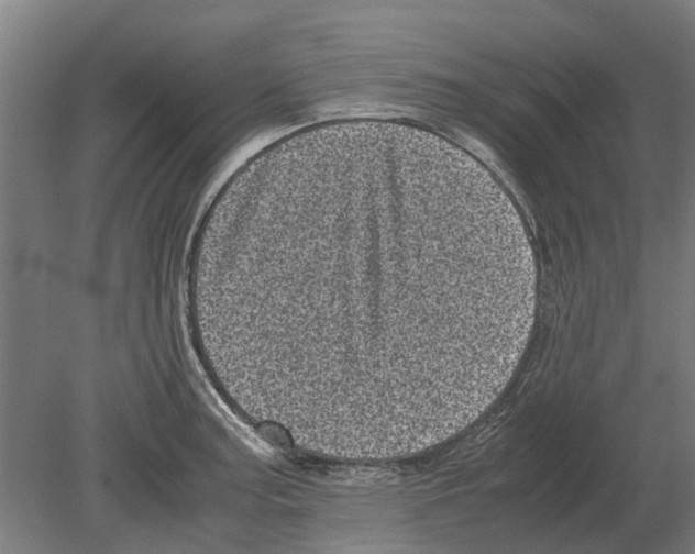 X0000080191187200701051715