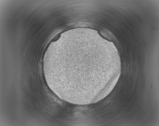 X0000080191190200701051715