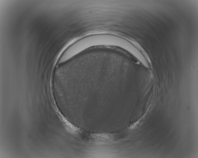 X0000080191197200701051715