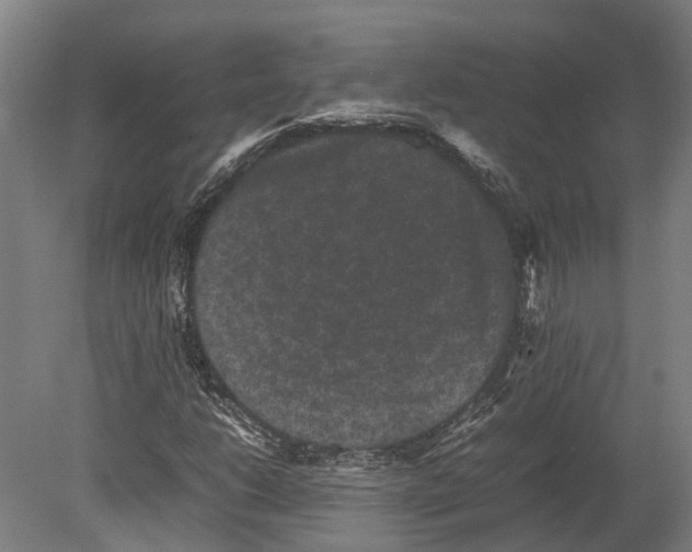 X0000080191206200701051714