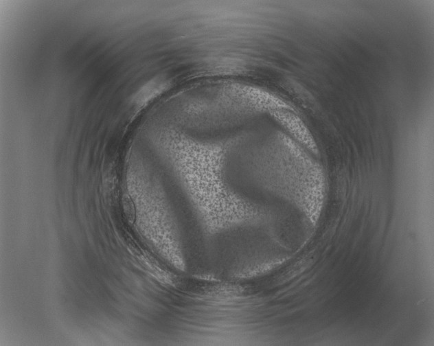 X0000080191210200701051714