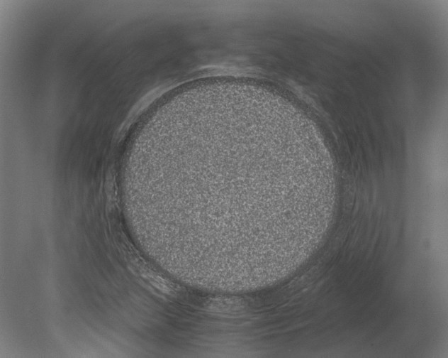 X0000080191215200701051714