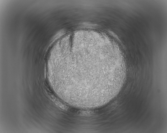X0000080191219200701051714