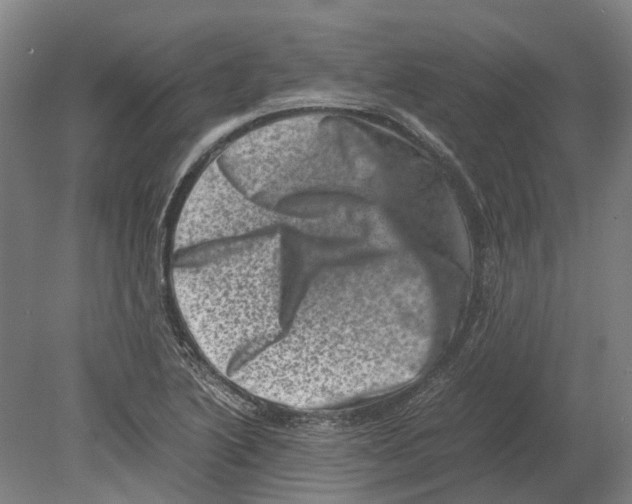 X0000080191222200701051714