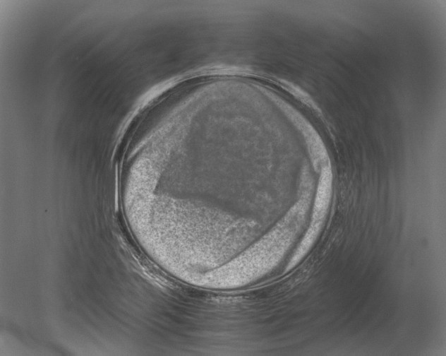 X0000080191223200701051714