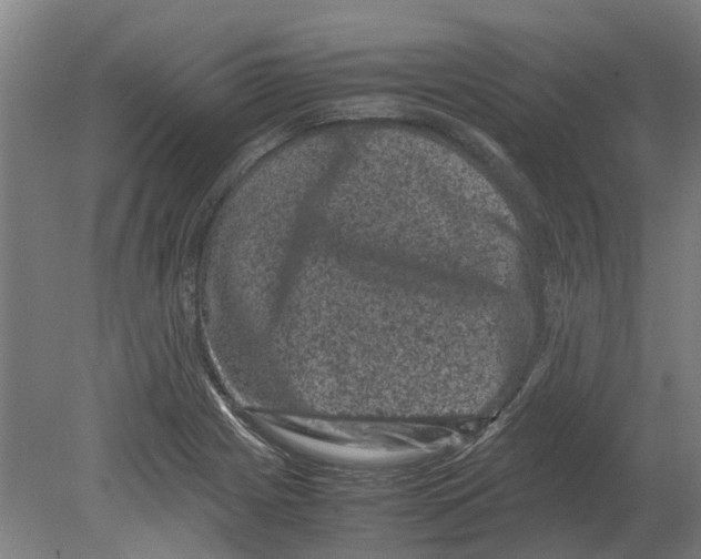 X0000080191225200701051714