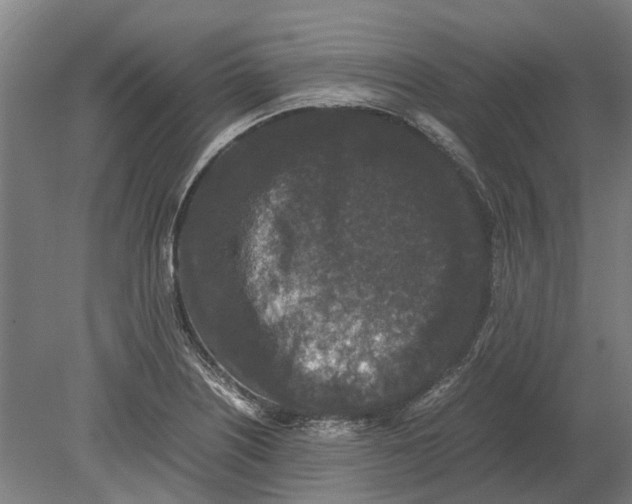 X0000080191226200701051714