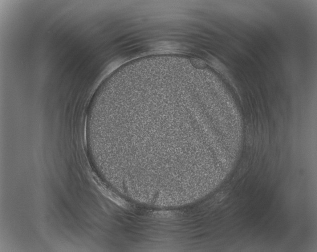 X0000080191227200701051714