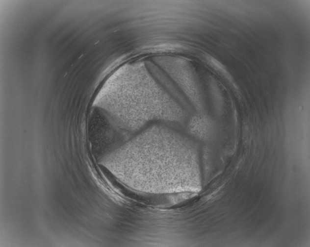 X0000080191234200701051714