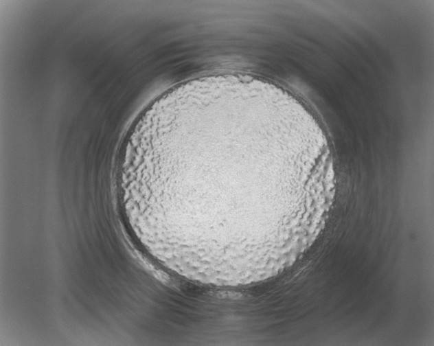 X0000080191235200701051714