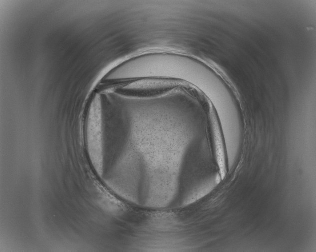 X0000080191238200701051714