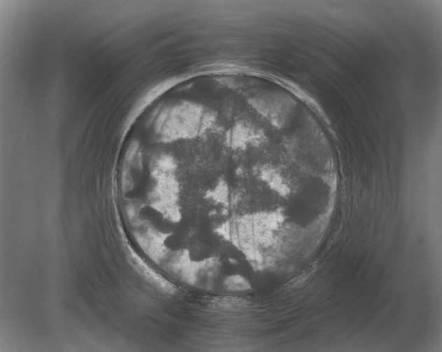 X0000080191239200701051714