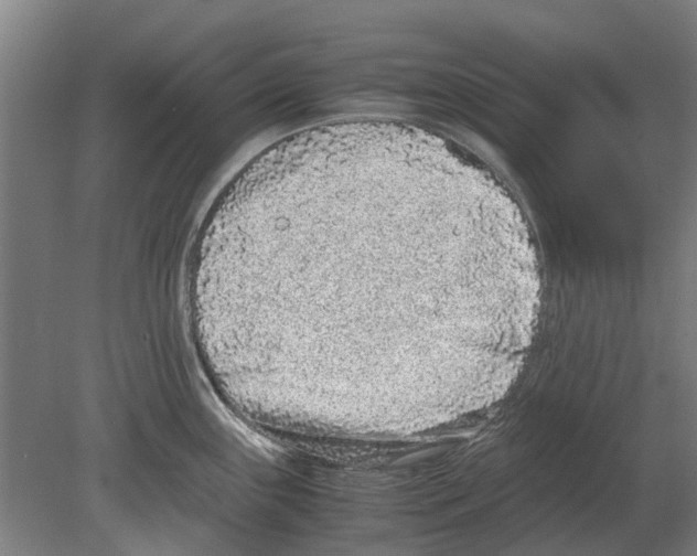 X0000080191243200701051715