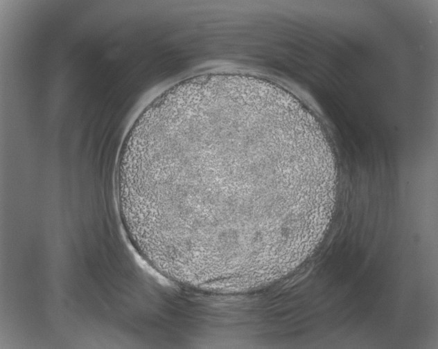 X0000080191247200701051715