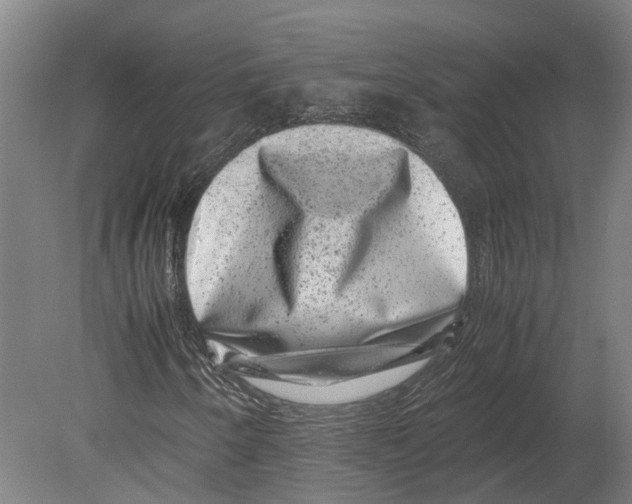 X0000080191250200701051714