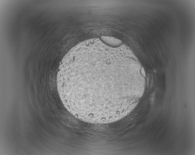 X0000080191251200701051714