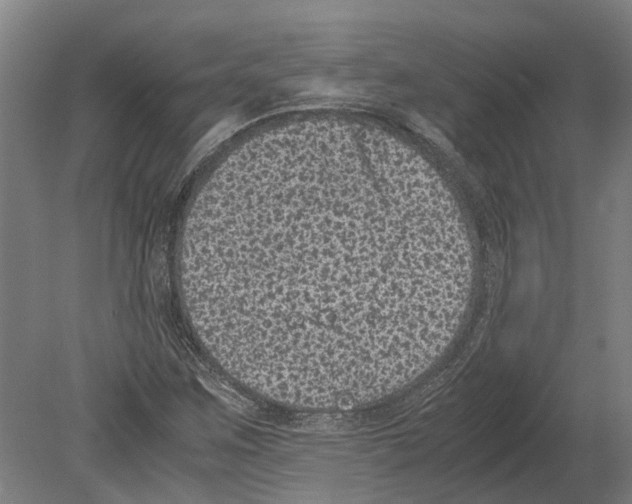 X0000080191259200701051714