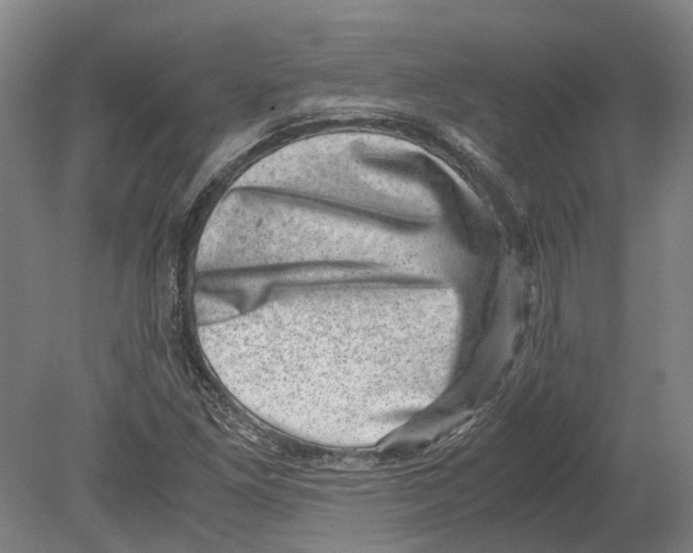 X0000080191261200701051714