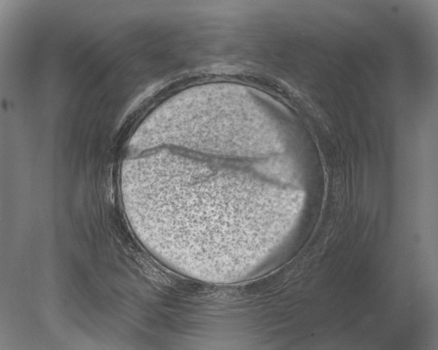 X0000080191262200701051714