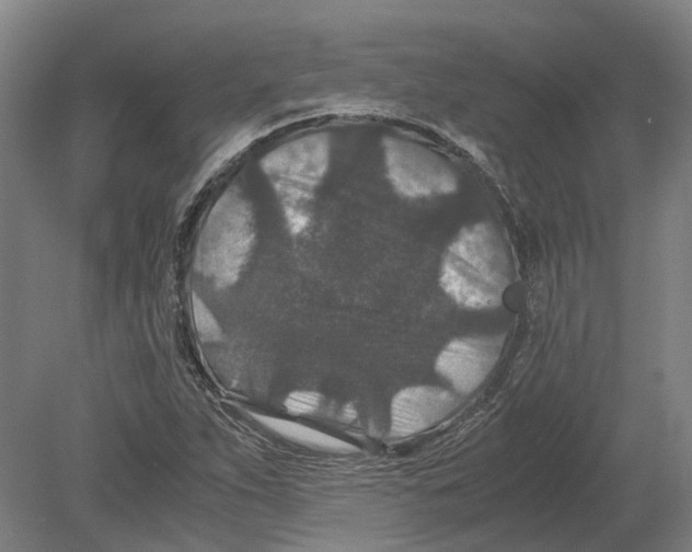 X0000080191263200701051714