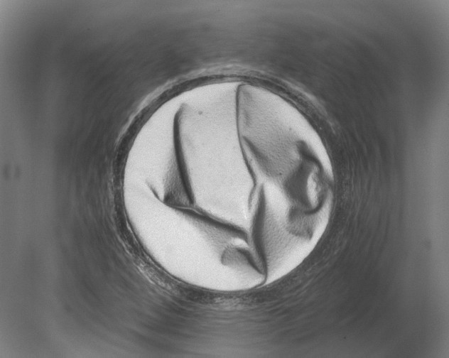 X0000080191264200701051714