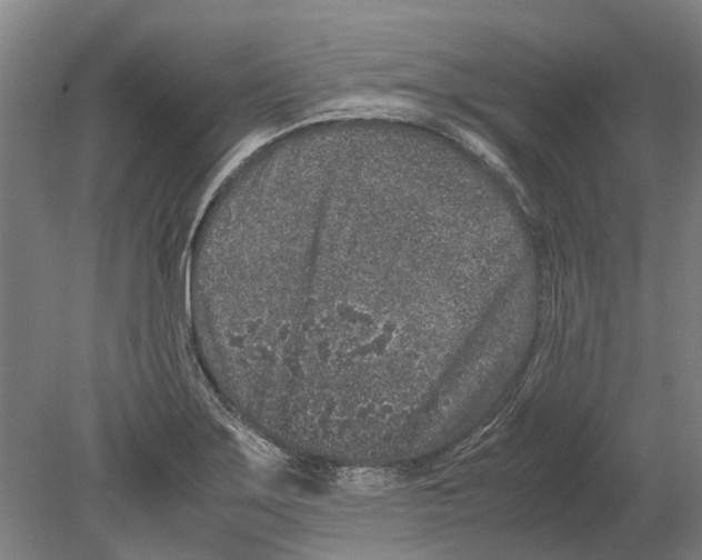 X0000080191275200701051713