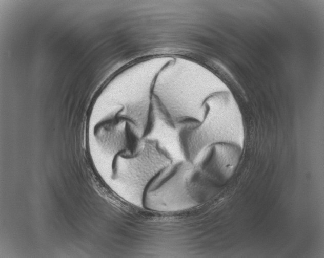 X0000080191276200701051713