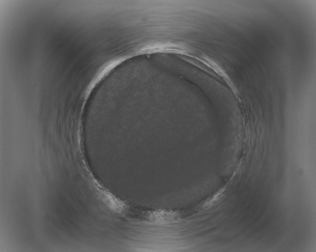 X0000080191277200701051713