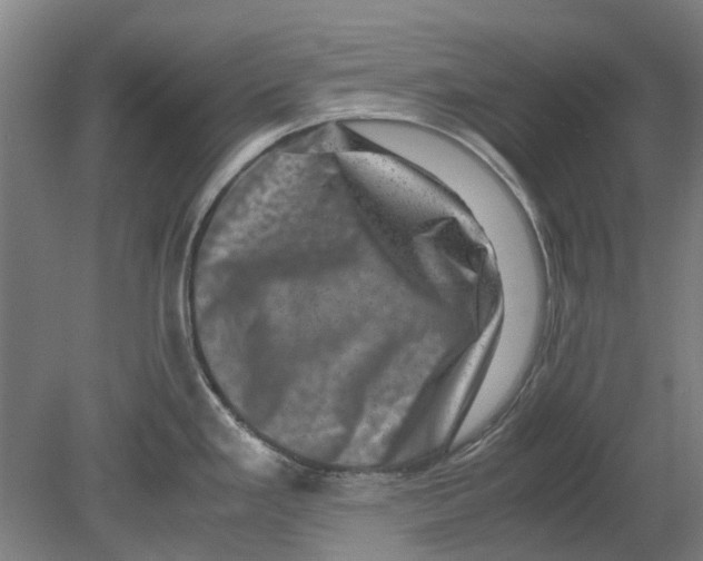 X0000080191293200701051713