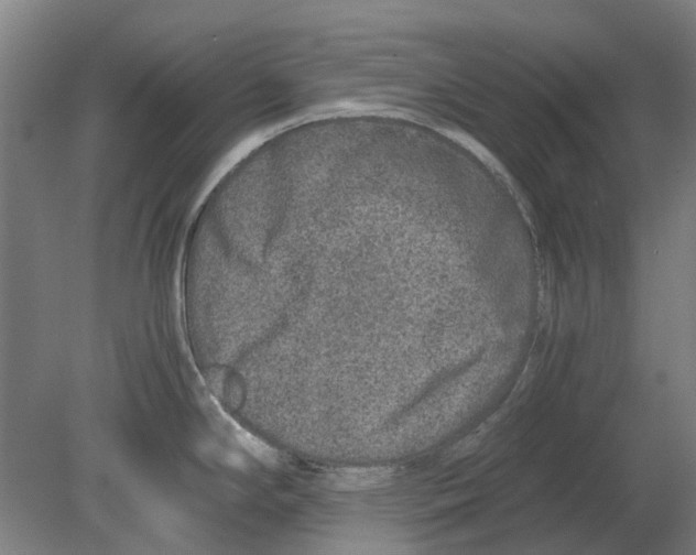 X0000080191294200701051713