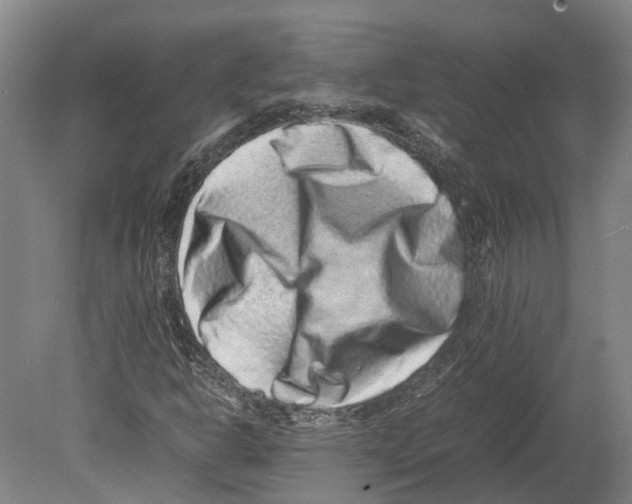 X0000080191302200701051712