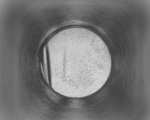 X0000080191318200701051713