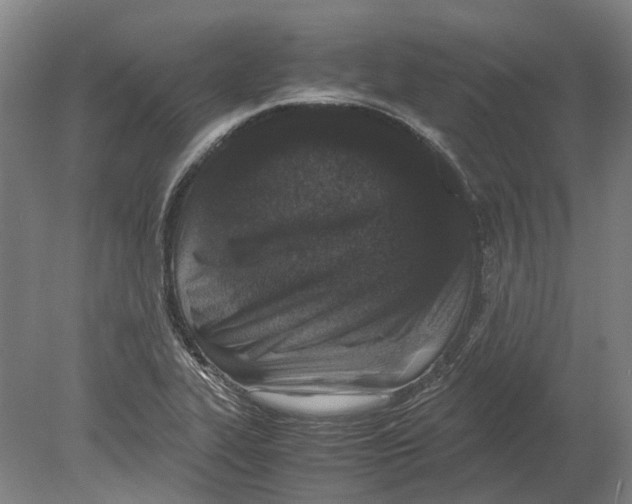 X0000080191319200701051713