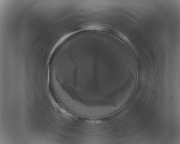 X0000080191323200701051713
