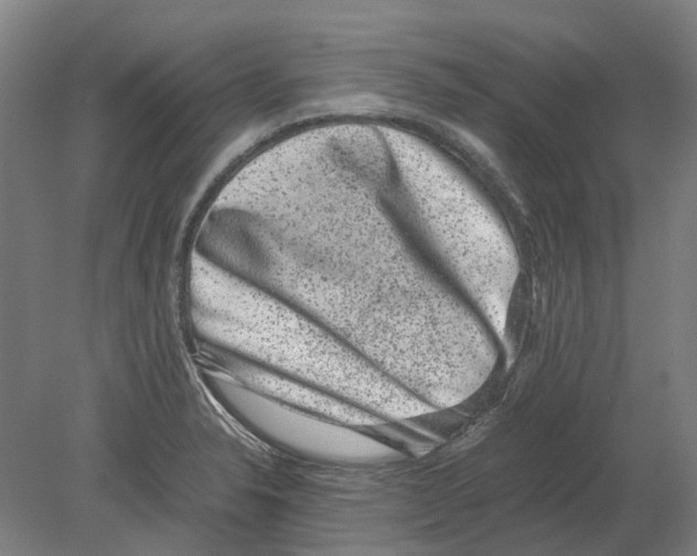 X0000080191326200701051713