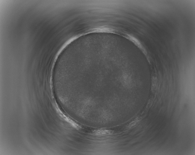 X0000080191331200701051713