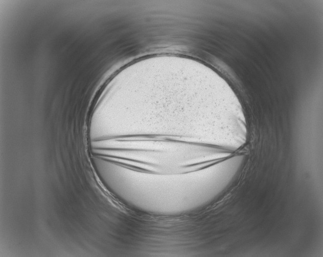 X0000080191332200701051713