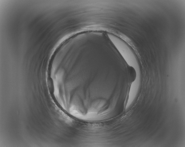 X0000080191334200701051713
