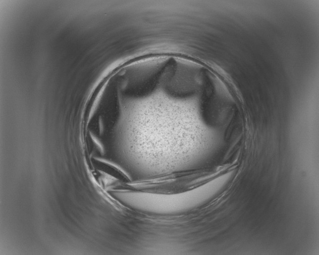 X0000080191342200701051713