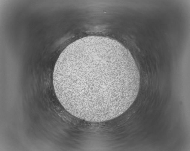 X0000080191350200701051712