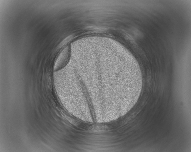 X0000080191354200701051712